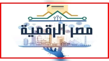 تفاصيل جديدة.. تحديث بيانات السجل التجاري عبر منصة مصر الرقمية 2025